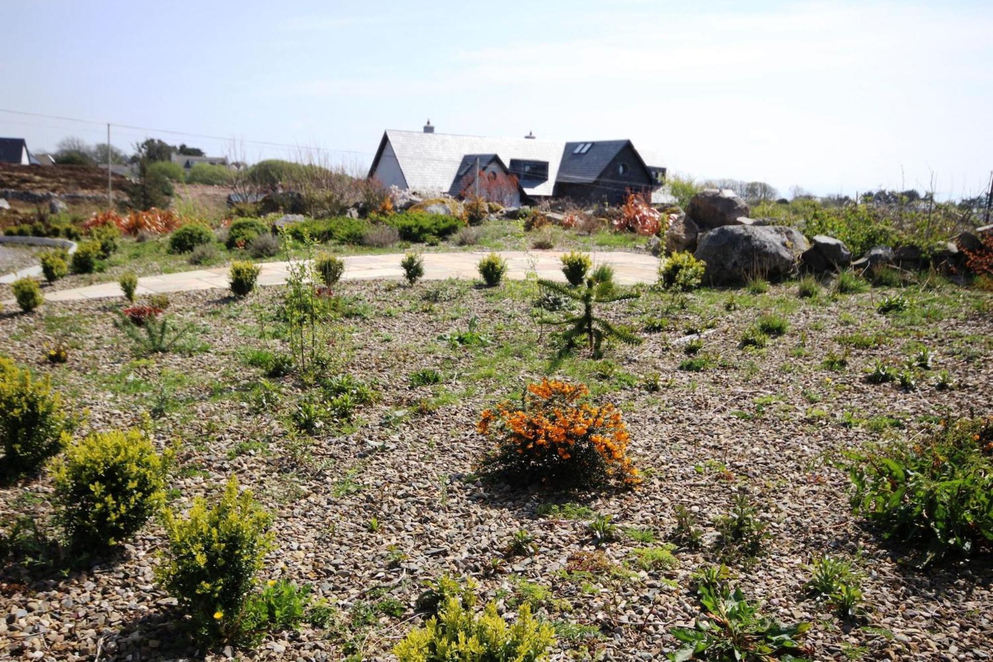 The Uplands Villa Spiddal Exteriör bild